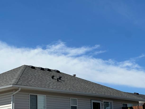 Best Roof Insulation Installation  in Cisco, TX